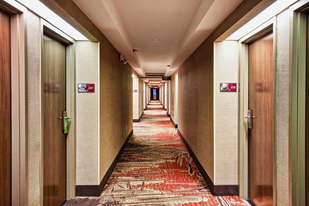 Hampton Inn Starkville Interieur foto